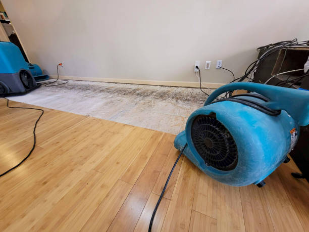 Professional Water Damage Repair technician working in Hanover, IN